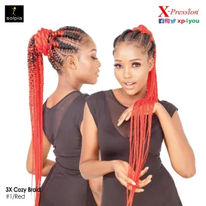 3x Cozy Braids