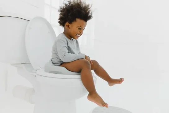 Bumbo Toilet Trainer - Slate Grey
