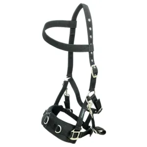 Cameo Equine Professional Lunge Cavesson Detachable Bit Straps Comfortable