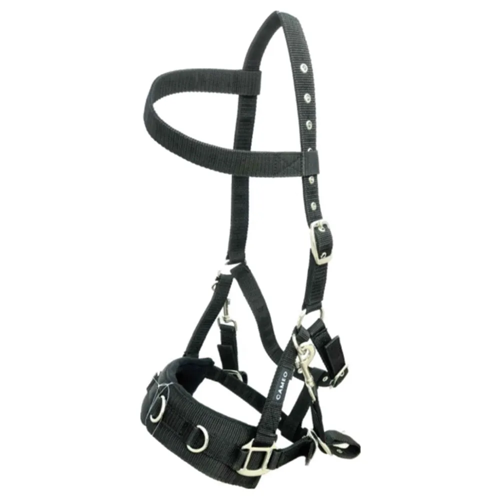 Cameo Equine Professional Lunge Cavesson Detachable Bit Straps Comfortable