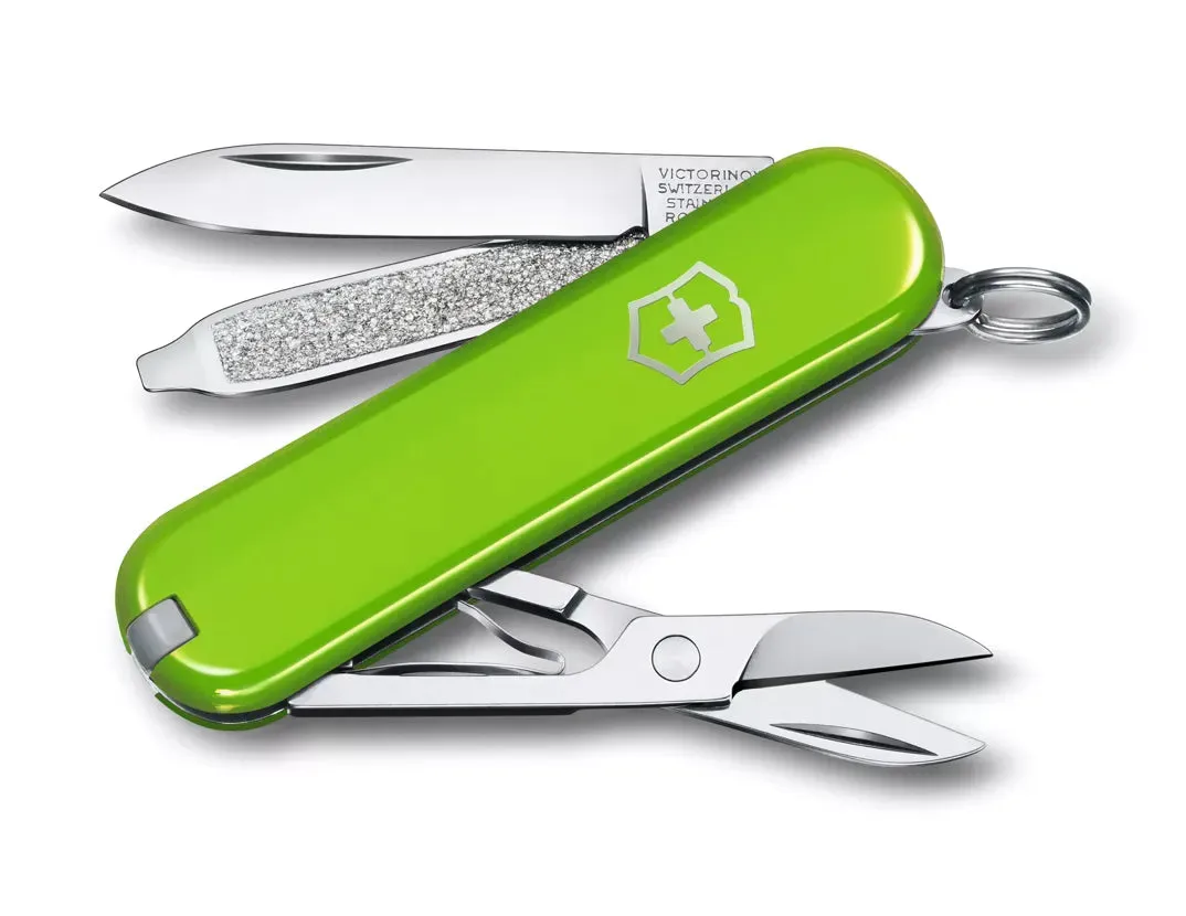 Classic SD Pocket Knife (Blister)