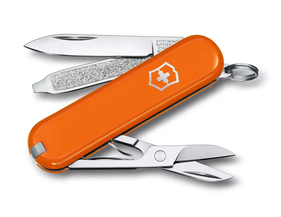 Classic SD Pocket Knife (Blister)