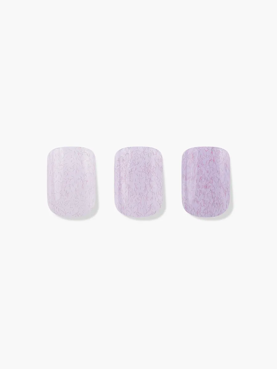 Cozy Lilac