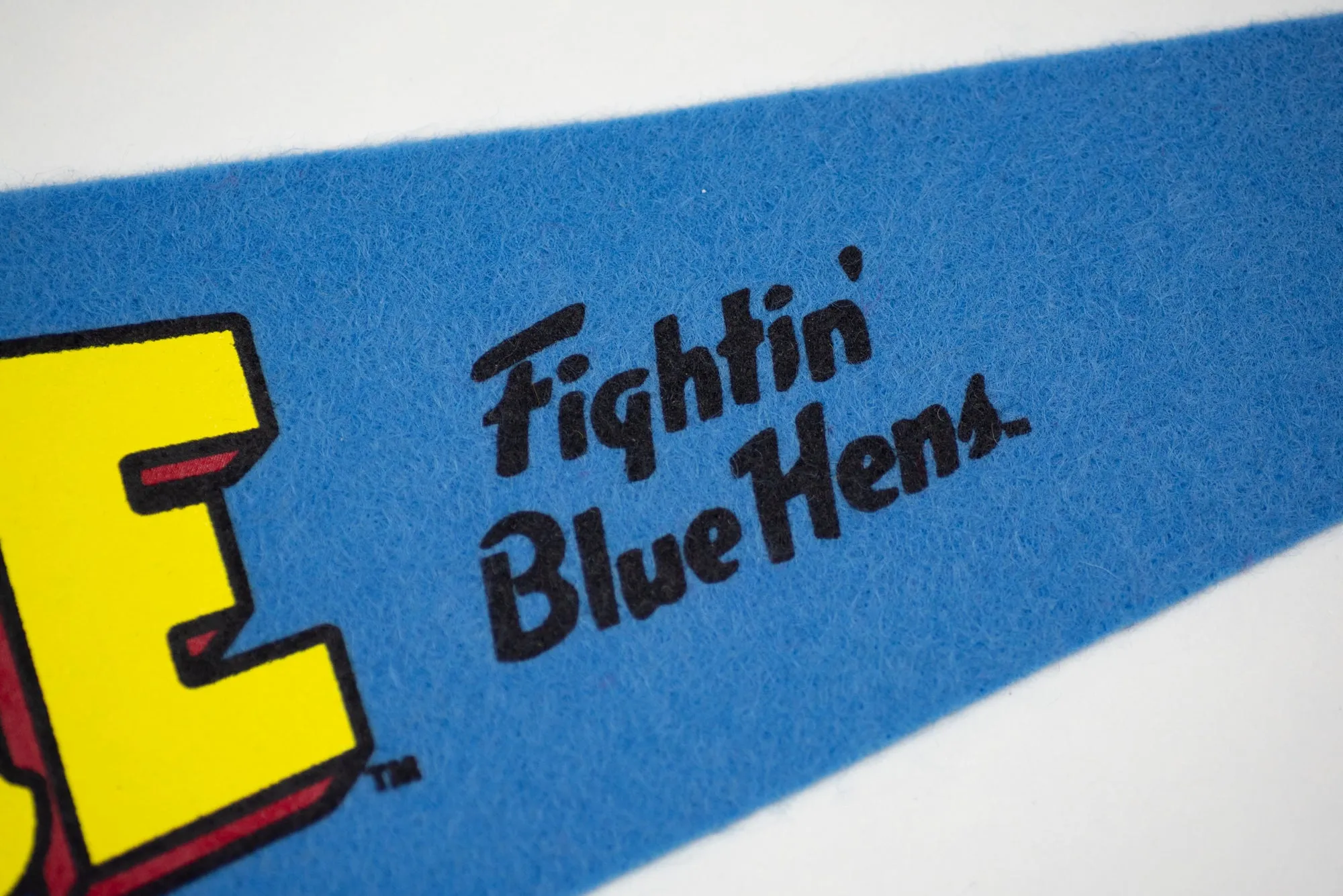 Delaware Fightin' Blue Hens Pennant