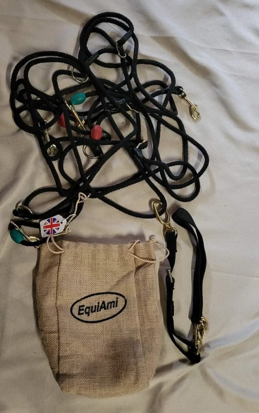 EquiAmi Lunge Aid