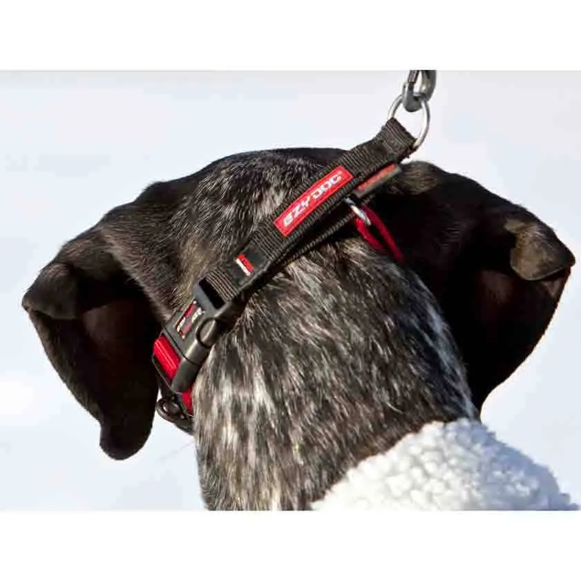 Ezydog Checkmate Collar