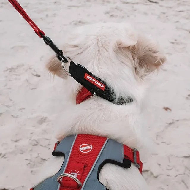 Ezydog Checkmate Collar
