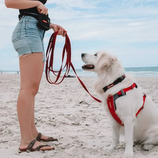 Ezydog Track & Train Leash