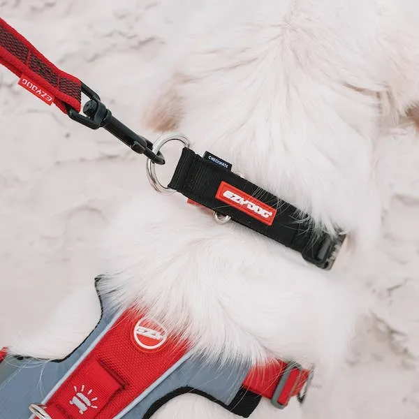 Ezydog Track & Train Leash