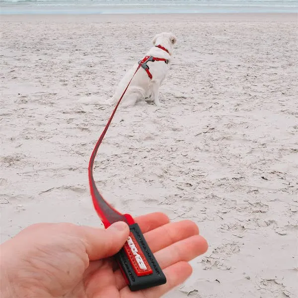 Ezydog Track & Train Leash