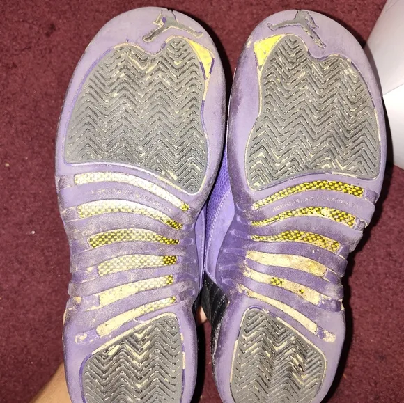 Jordan 12 Retro Field Purple