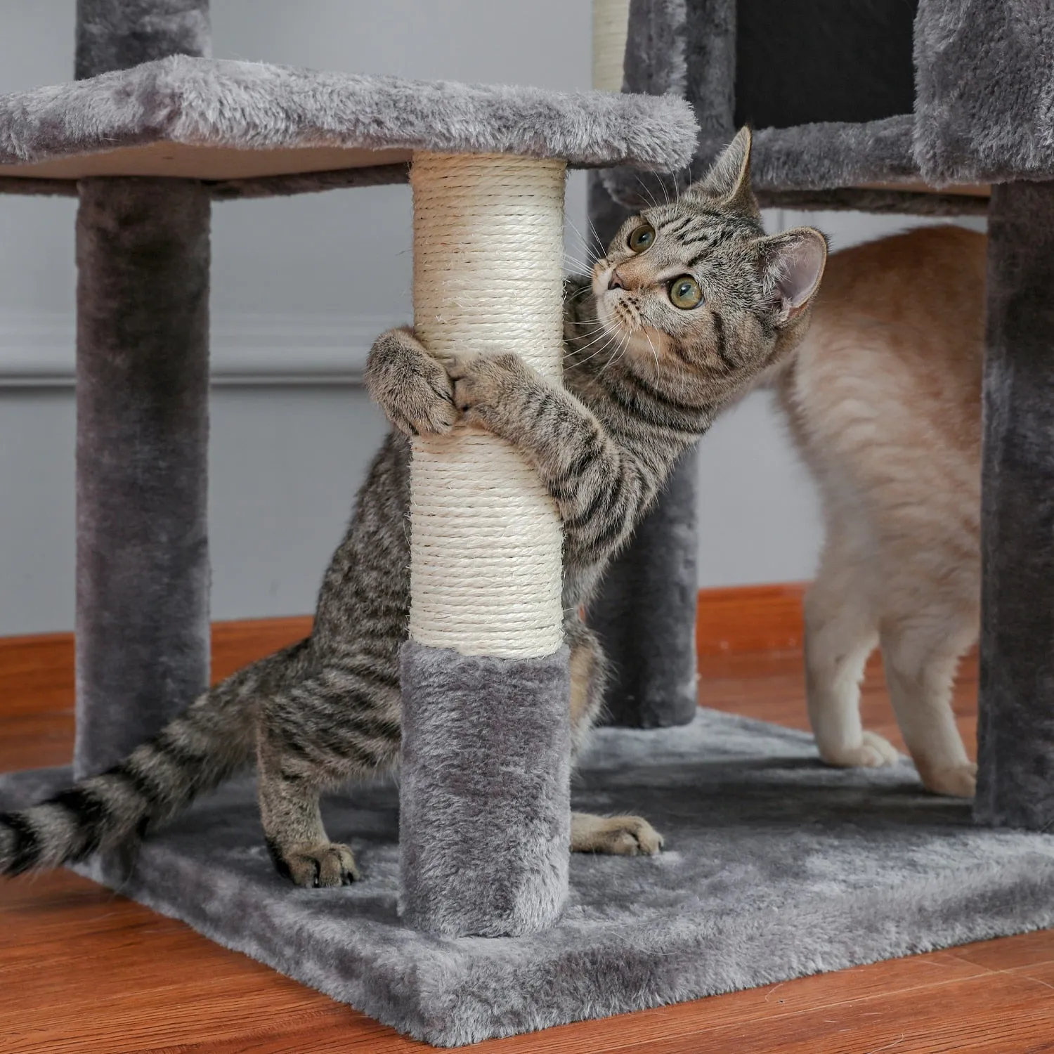 Large 63 inches Sturdy Cat Tree