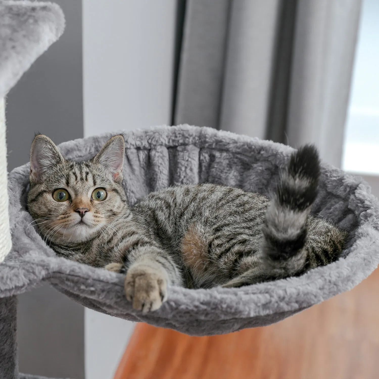 Large 63 inches Sturdy Cat Tree