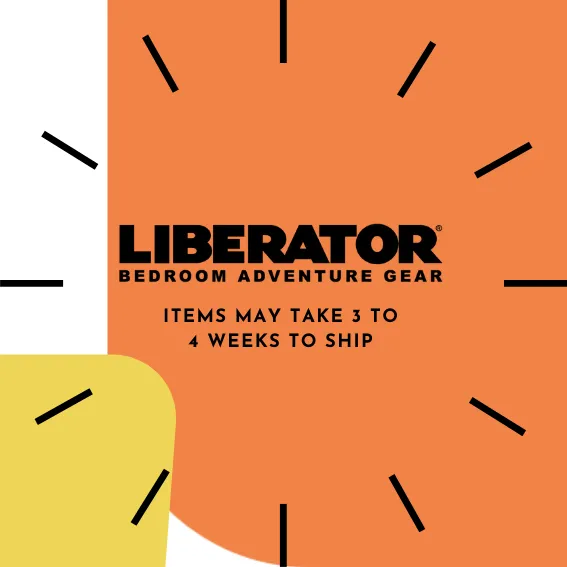 Liberator On a Mission