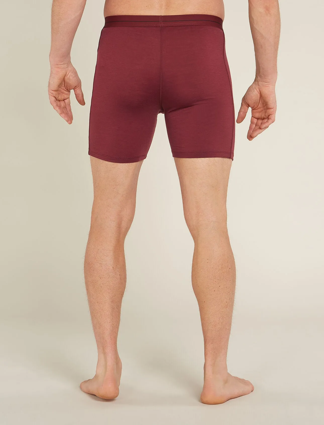 Merino 150 Anatomica Long Boxers (Men's) - IB103055