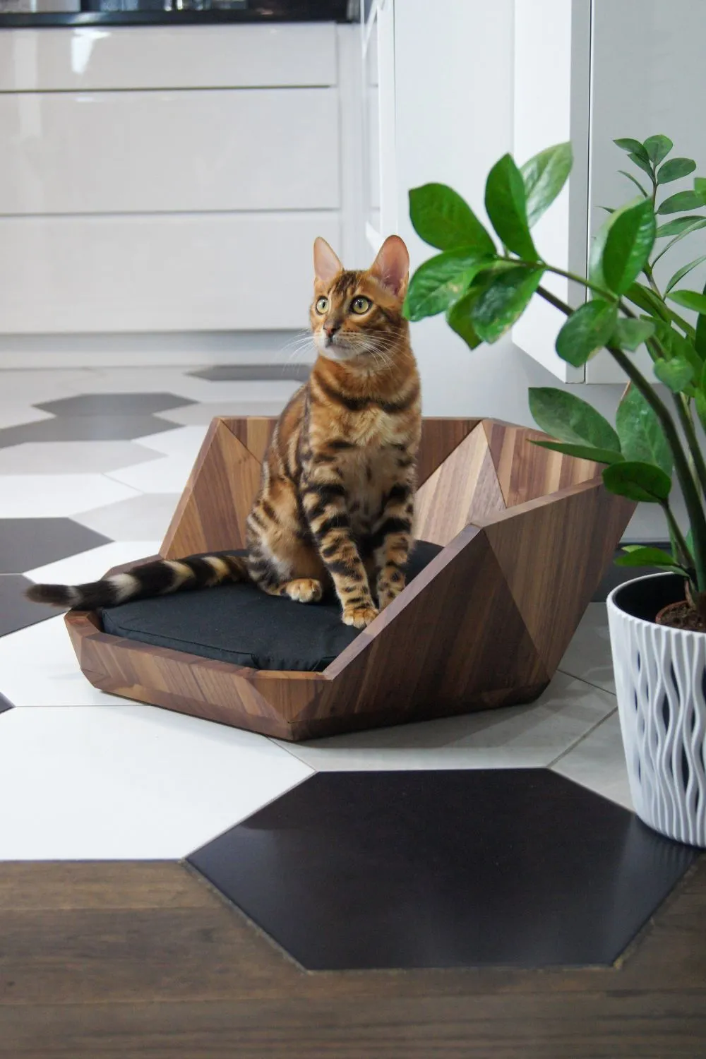 MISSOGNO Lotus American Walnut Orthopaedic Pet Bed