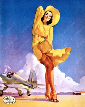 PDXC11795 -- Pin-Ups