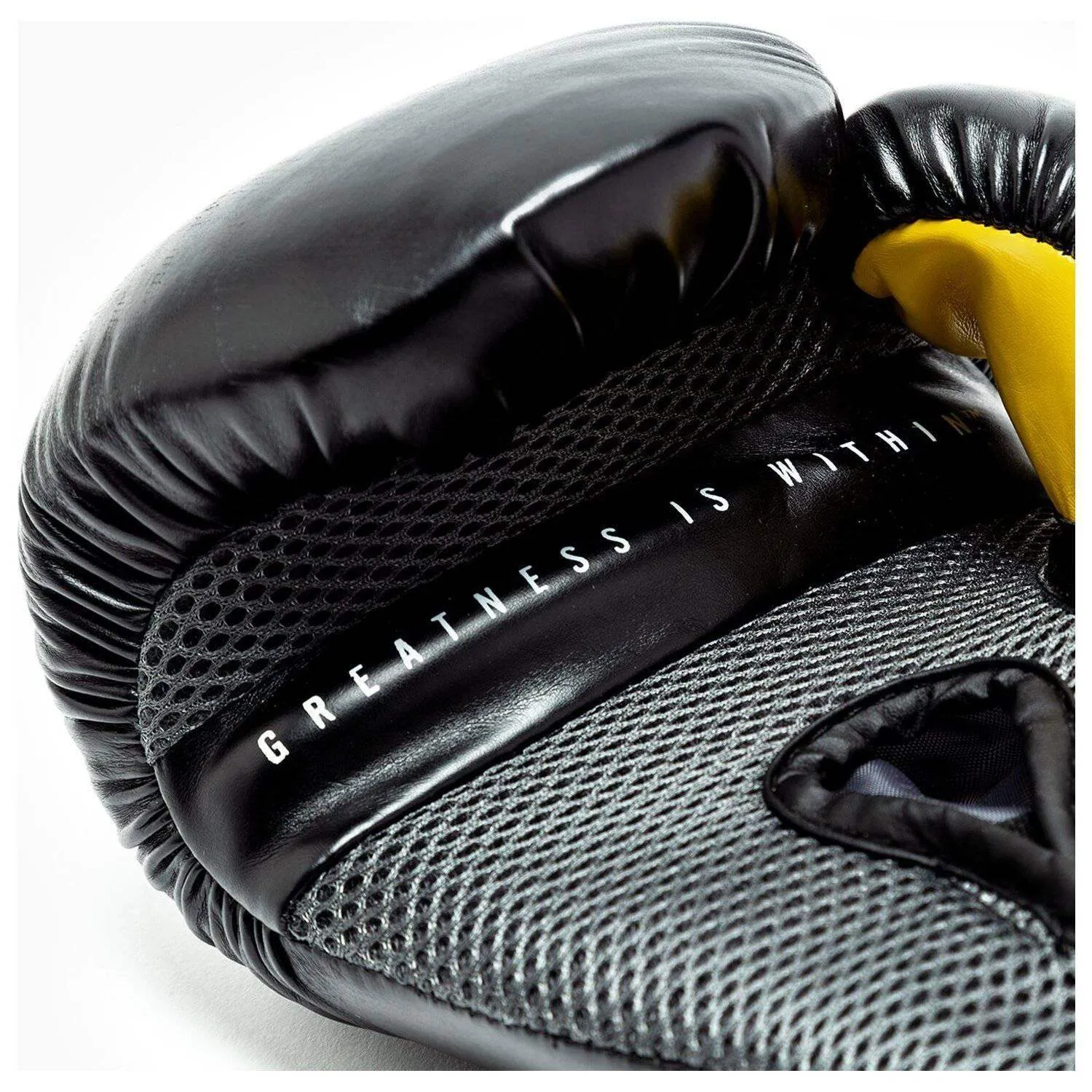 PROSTYLE ELITE TRAINING BOXING GLOVES | Boxing Gloves | Training | Sparring Gloves | Safe and Comfy