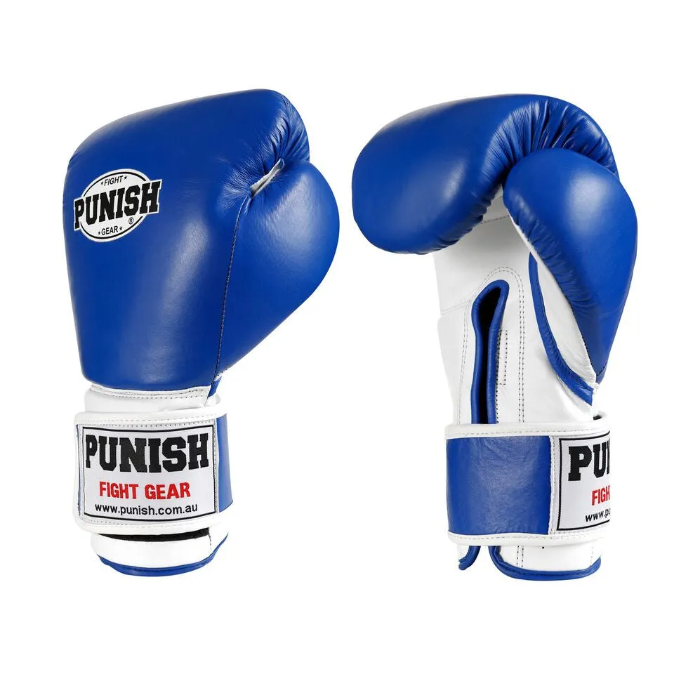 Punish 10oz Training Boxing Glove