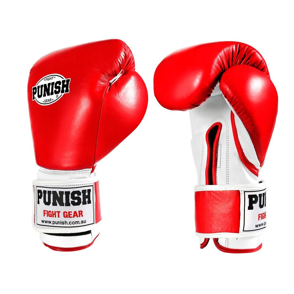 Punish 10oz Training Boxing Glove