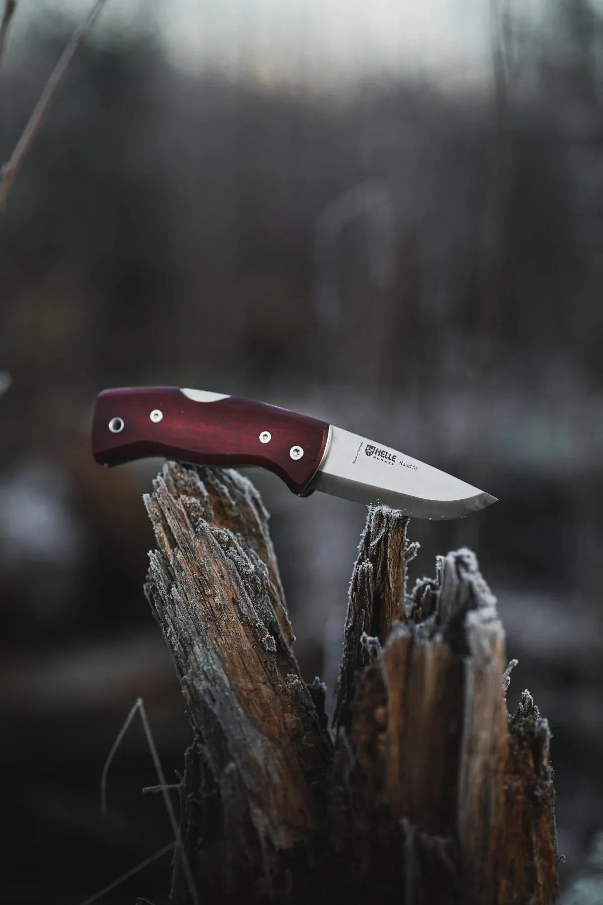 Raud M Knife