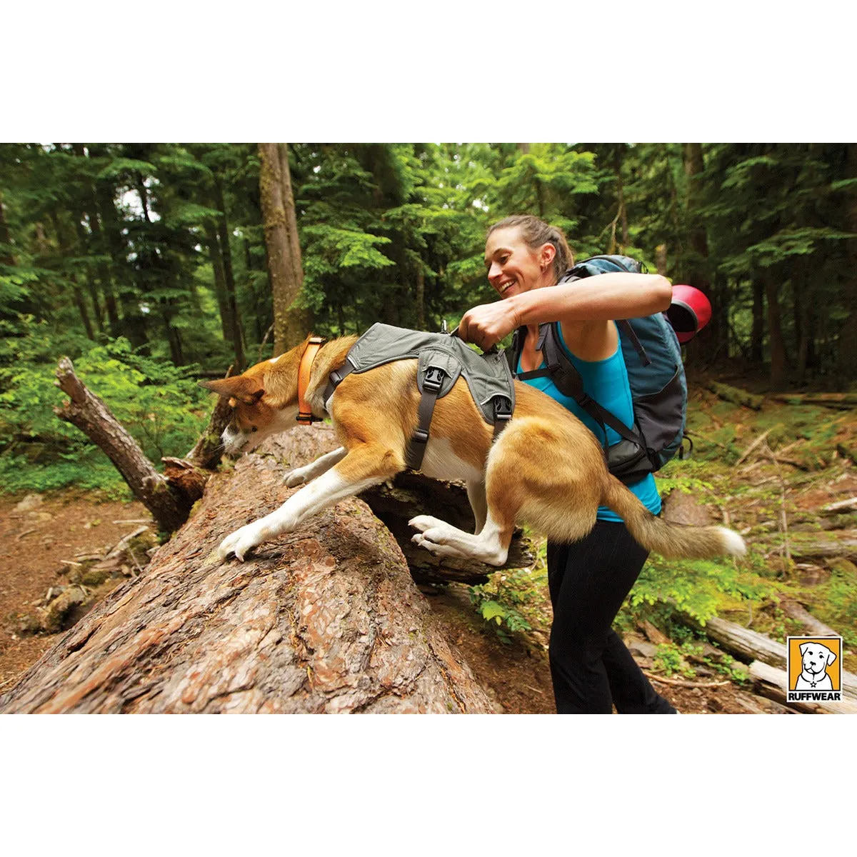 Ruffwear® | Web Master™ Harness