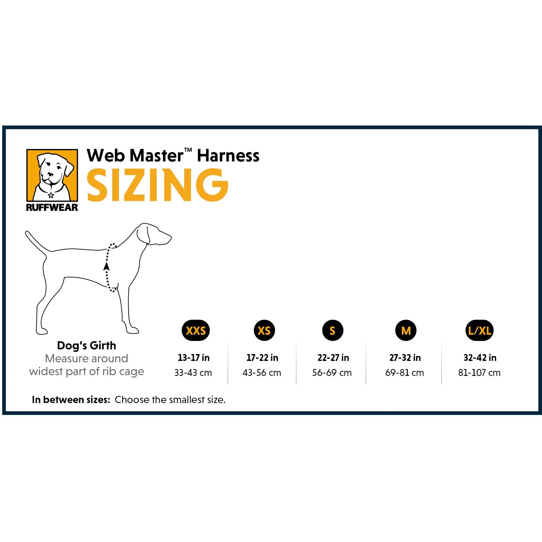 Ruffwear® | Web Master™ Harness