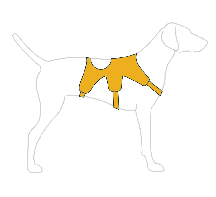 Ruffwear Web Master Harness