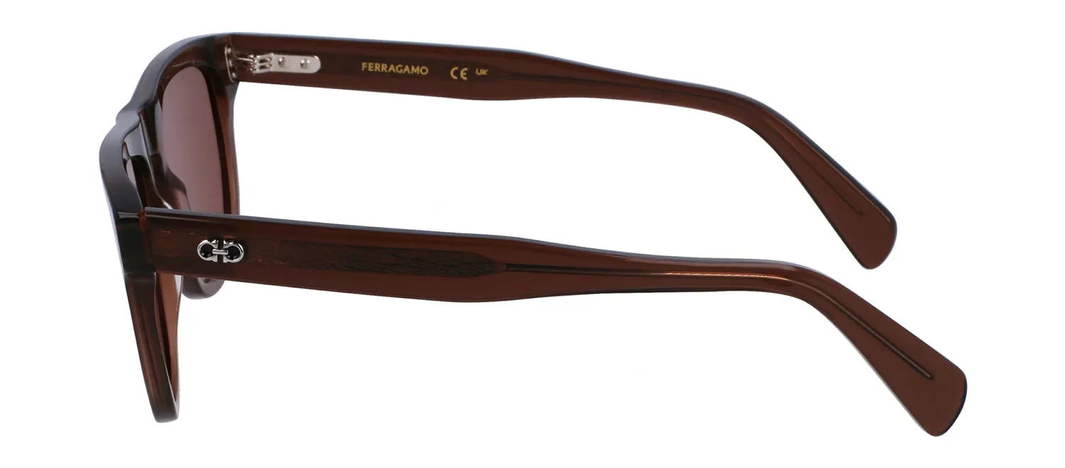 Salvatore Ferragamo SF 1111S 232 Browline Plastic Transparent Brown Sunglasses with Brown Lens