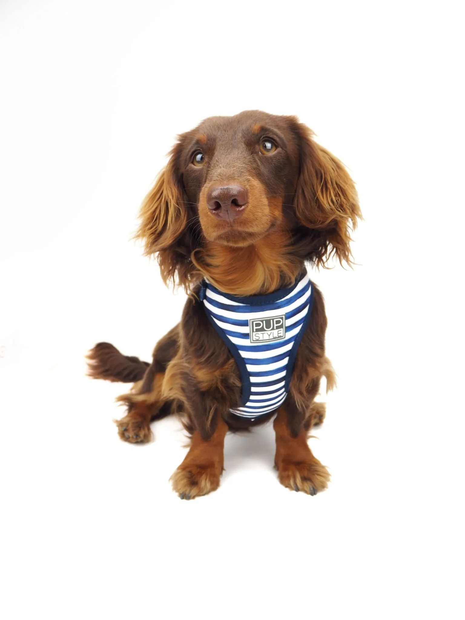 Stripe Squad Harness
