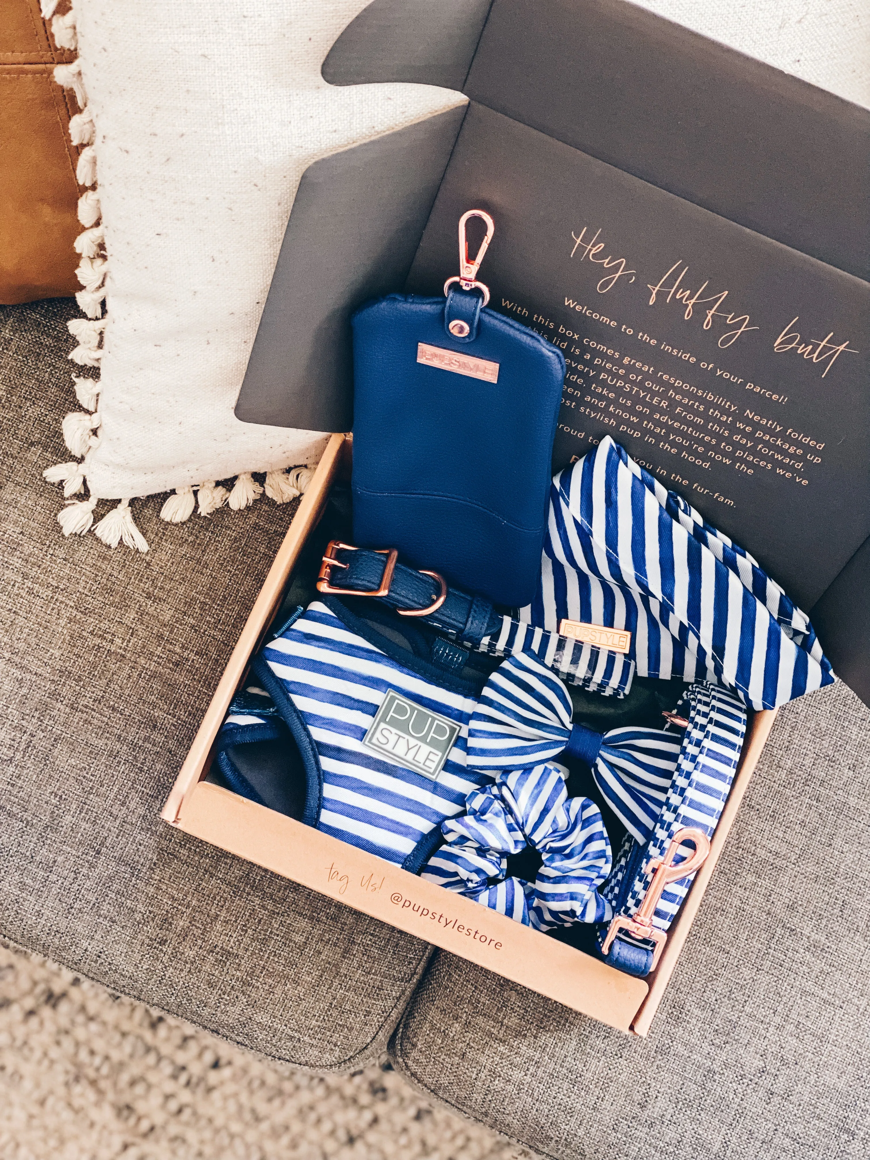 Stripe Squad Harness